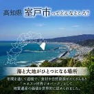 【３回お届け】はちきん地鶏定期便【２～３人前】 頒布会